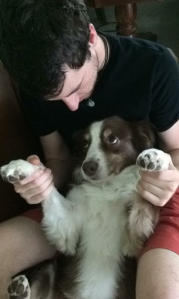 The Way My Girlfriend's Dog Looks At Me Melts My Heart