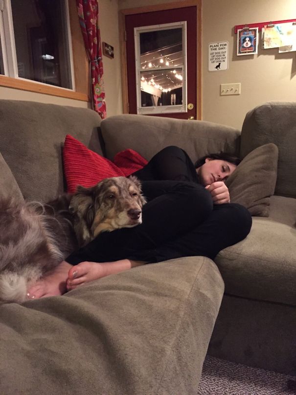 It Is Always A Good Sign When You Dog Likes Your Girlfriend