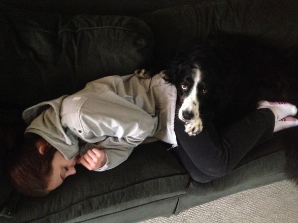 When I'm Cold And Wearing My Boyfriend's Jacket, His Dog Will Come And Cuddle With Me To Warm Me Up