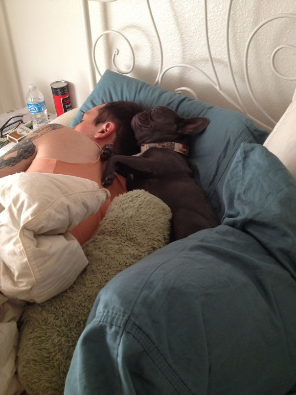 My Girlfriend Gets Jealous About How Much Her Dog Cuddles With Me