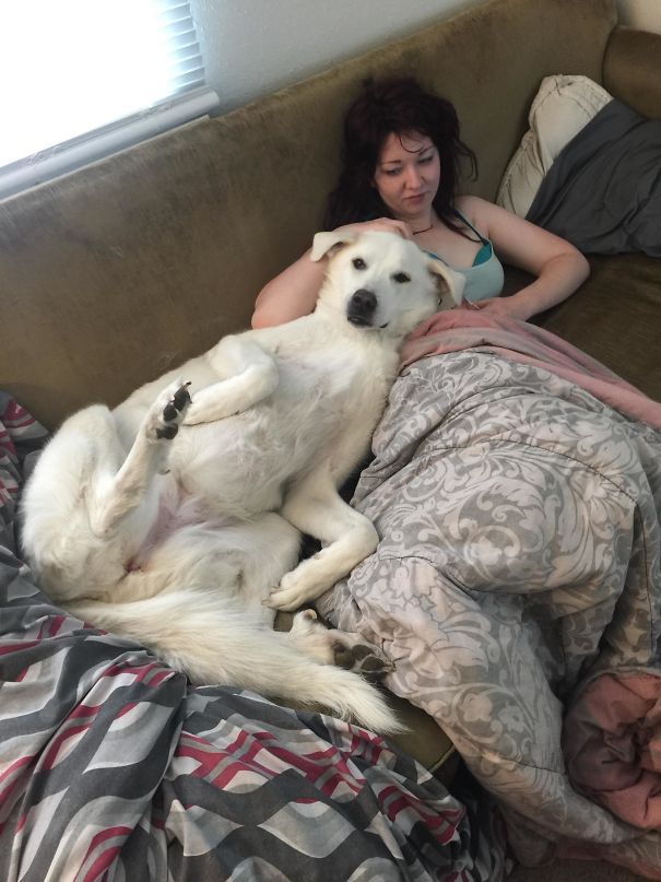 Gracie, My Dog, Only Cuddles My Girlfriend. It Makes Me Super Jealous