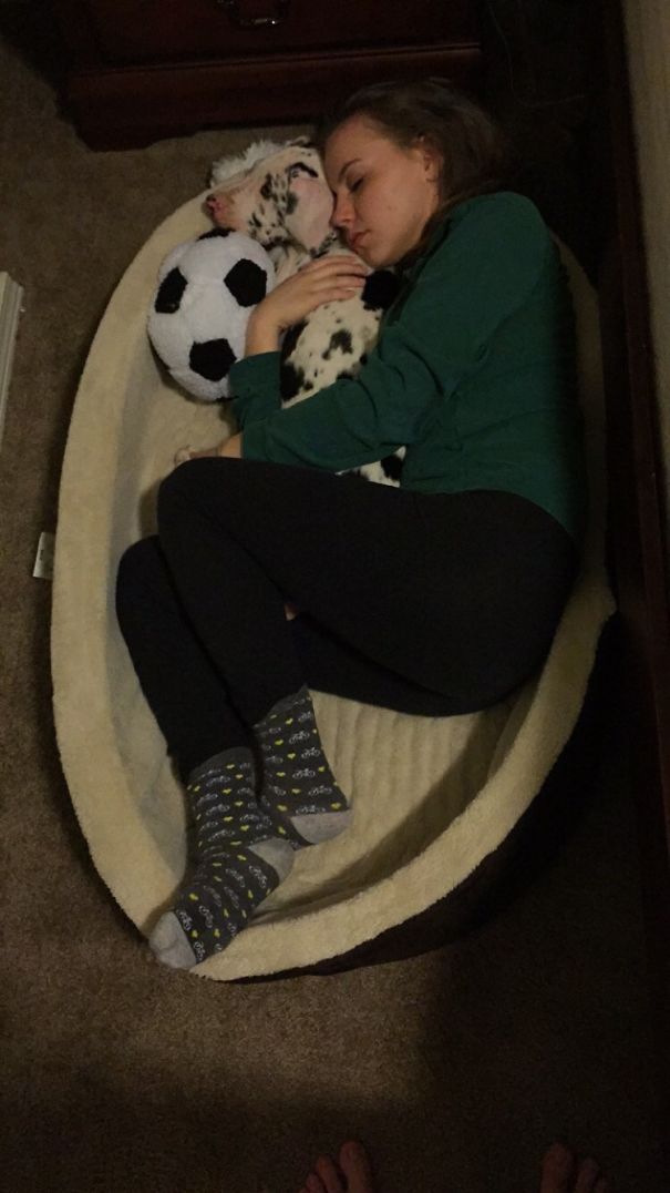 My Girlfriend's First Night With Her Puppy