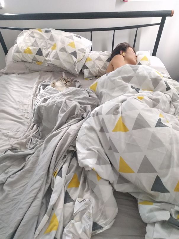 Caught My Wife With The Cat This Morning