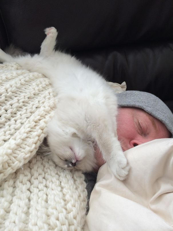Husband Is Fighting A Migraine Today. Leo Is Giving Him Extra Snuggles