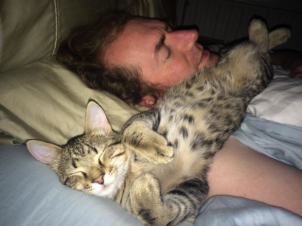 New Kitty Has Forced Us To Increase Our Caffeine Intake. Poor Husband At 4 Am