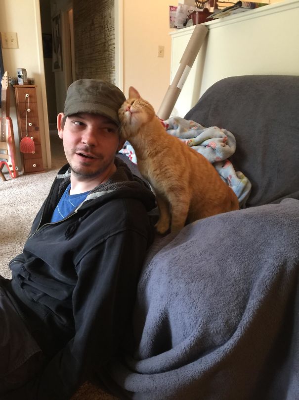 My Happy Cat Saying Hello, We Rescued Him 3 Years Ago And He Is Always By My Husbands Side