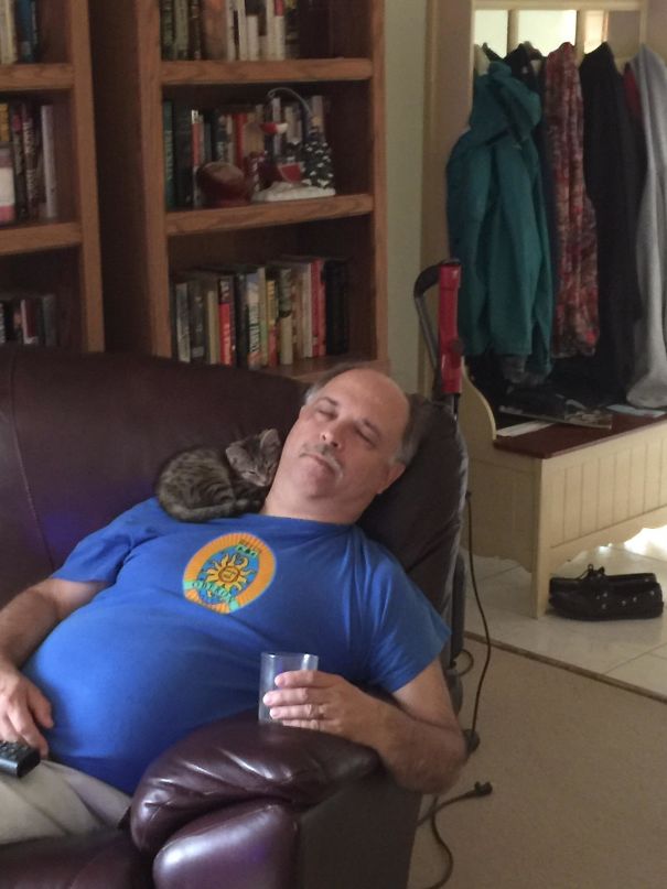 I Went To The Local Shelter To Get A Puppy And Wound Up Coming Home With A Kitten. My Husband's Jaw Hit The Floor When He Got Home But A Couple Hours Later I Caught Them Bonding Nicely. Meet Miss Calais