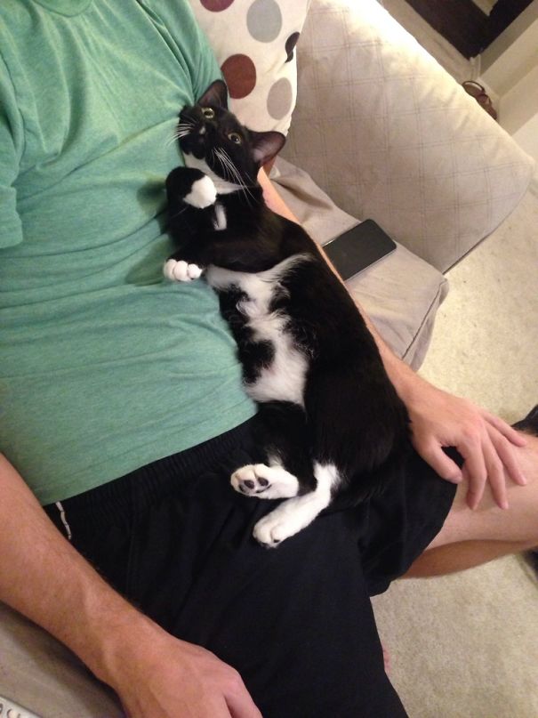 I Think My Cat Likes My Boyfriend More Than I Do