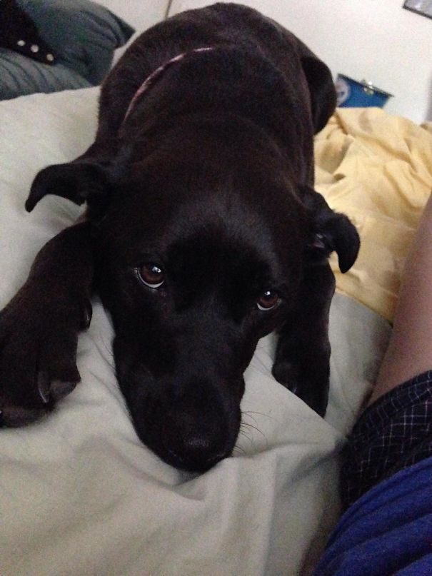 What I Wake Up To Every Time I Stay Over At My Boyfriends House