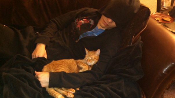 Boyfriend Claims To Hate My Cat... Came Home To This