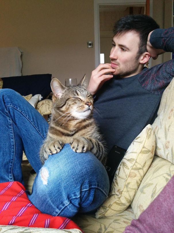I Think My Cat Likes My Boyfriend