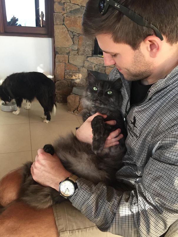 I Guess You Could Say My Boyfriend And My Cat Get Along Pretty Well