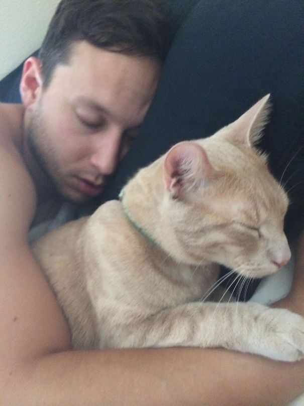 Caught My Boyfriend And My Cat Bonding