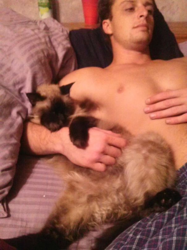 I Think My Cat Likes My Boyfriend