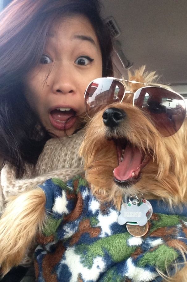 So My Girlfriend Stole My Dog