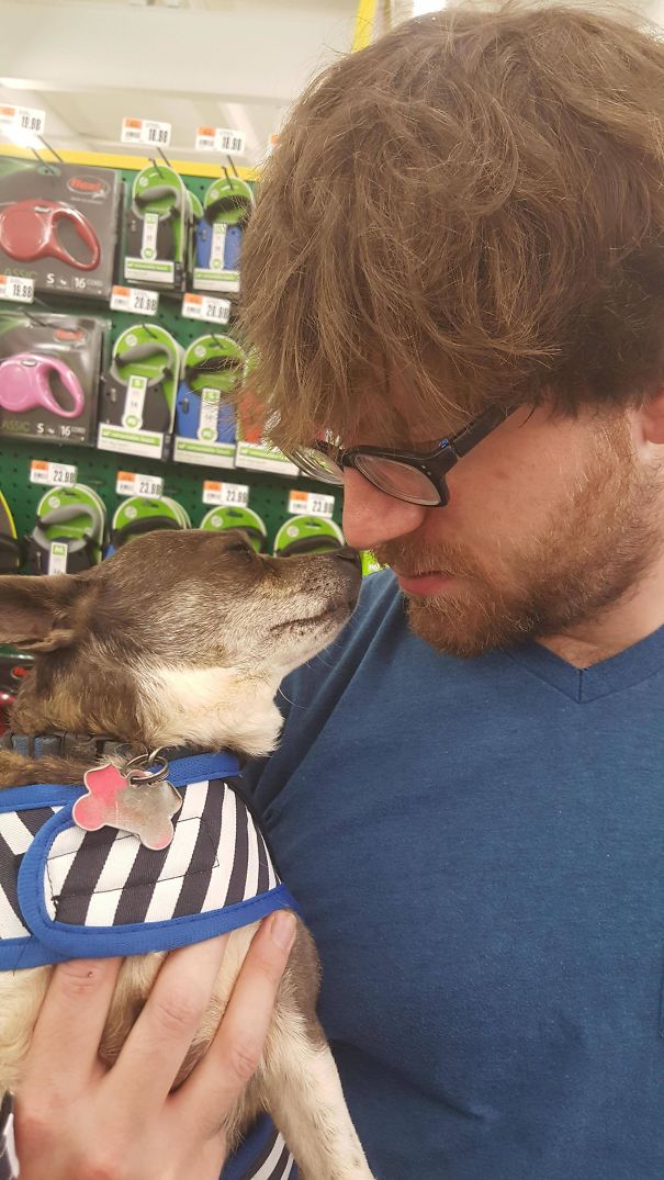 Suddenly My Dog Stole My Boyfriend