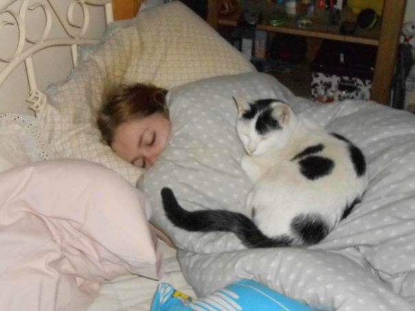 Cat Stole My Bed And My Girlfriend