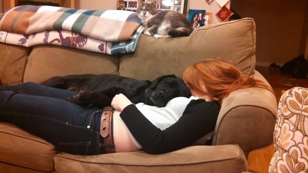 I Think My Dog Likes My Girlfriend