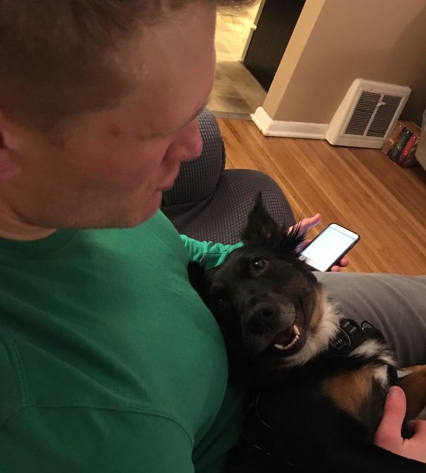 This Is Millie. Millie Loves Everyone But She Loves My Husband The Most