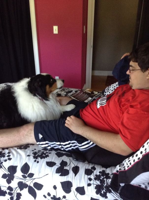 My Dog Likes Being Very Close To My Boyfriend