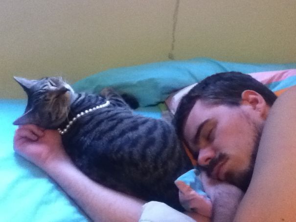 Cat Stole My Pearls. And My Fiance