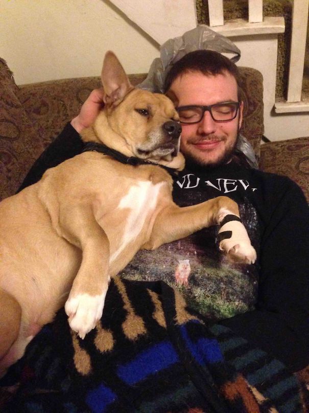 My Big Baby Of A Dog Cuddling With My Boyfriend