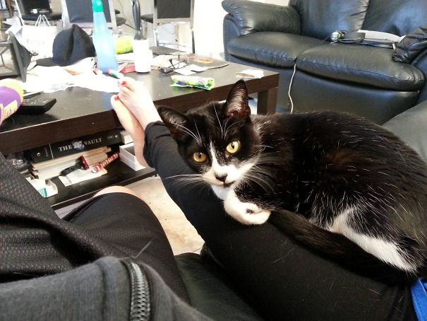 This Is Googly. She Loves My Girlfriend More Than She Loves Me