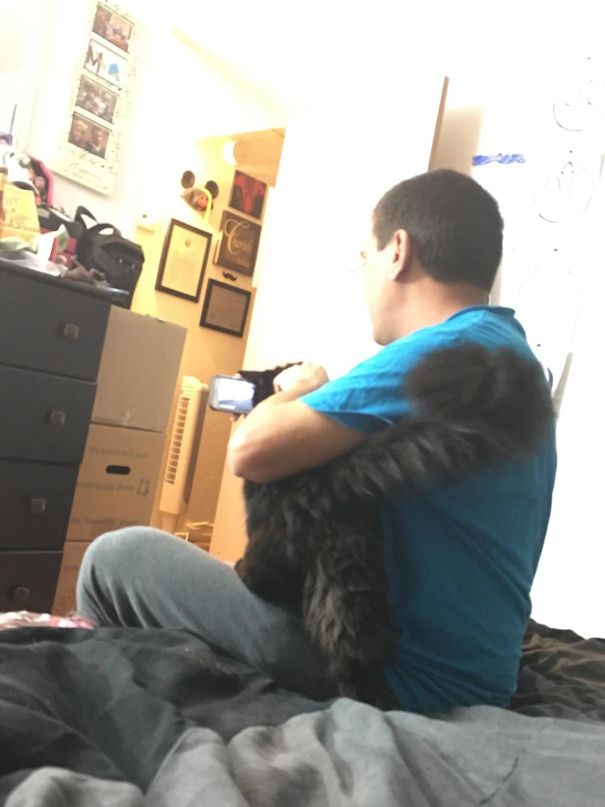 Cat Loves My Boyfriend More Than Me, They Watch Planet Earth Together