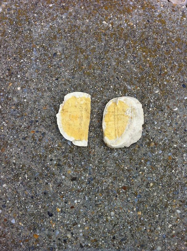 These Rocks Kinda Look Like Sliced Hard Boiled Eggs
