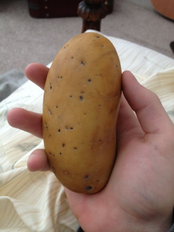 This Rock Looks Like A Potato