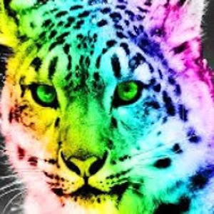 awesomegamer4ever avatar