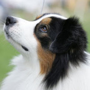 nannettenewbury avatar