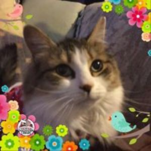 frecklesandlillie44 avatar