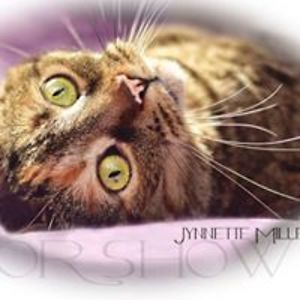 heavenstars79 avatar