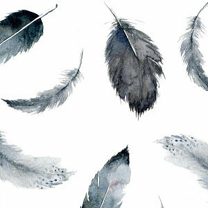 evipanagiotou avatar