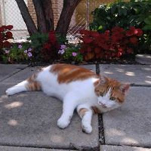 gwensandstrom avatar