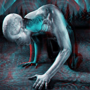 mindmanifestations avatar