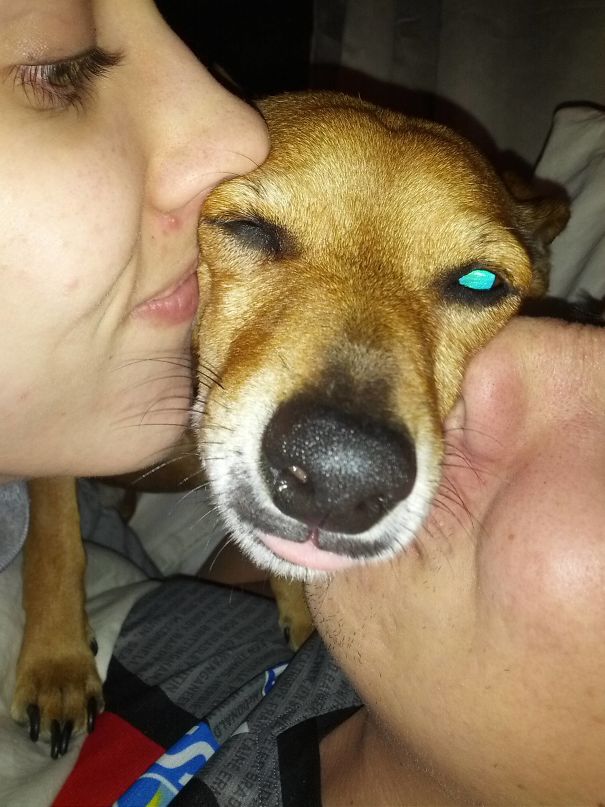 Every Time My Girl Tries To Kiss Me. Talk About Your Third Wheels...