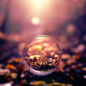 maritsigridseinstra avatar