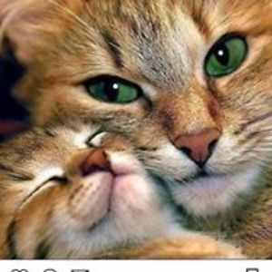 aisha_pemberton avatar