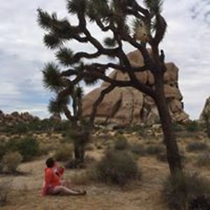 susanshanneilwhite avatar