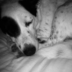 michelle_poonan avatar