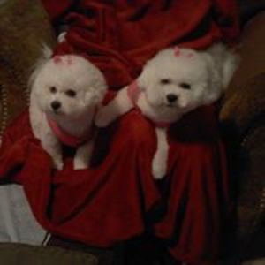 go_for_it_701 avatar