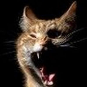 richardfeilden avatar