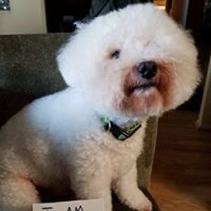 kody_petersen avatar