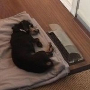 linda_murray5419 avatar