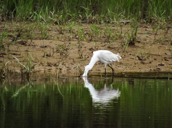 One Of My Favorite Pictures. Took Me At Least A Hour Of Shooting To Get The Right Timing