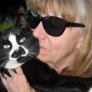 denise_stinnett avatar