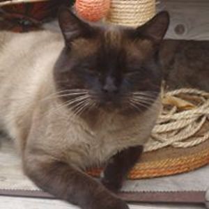 daisybriggs11 avatar