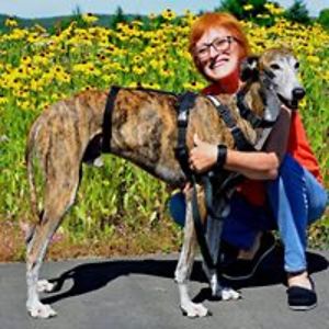 moniqueboutot avatar